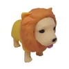 Oblači svojega kužka: Labrador v kostumu leva