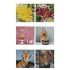 Grafix Diamantna slikarska kartica 13x13cm