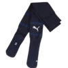 Nogavice Puma teamFINAL Socks