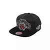 Toronto Raptors Mitchell & Ness G2 Winners kapa