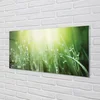 tulup.si Slika na akrilnem steklu Grass sonce kapljice 125x50 cm 2 obešalnika