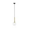 Luster na sajli DAISY 1xG9/12W/230V prečnik 14 cm zlatna/crna/prozirno staklo