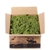Dekorativna prirodna mahovina N70, 100g, Srednje zelena