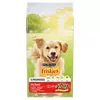 FRISKIES hrana za pse Active, 10kg