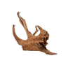 Zolux Korenina za akvarij/terarij Mangrove L 2,4kg