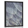 Plakat jutranja rosa na regratu - 30x45 black