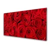 tulup.si Slika na steklu Roses flowers rastlin 140x70 cm 2 obešalnika