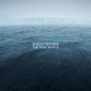 Shearwater - The New World (CD)