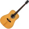 Pasadena PD-350 Natural Gloss Akustična kitara