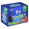 Brit Premium sos za sterilisane mačke, 12x100 g