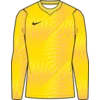Nike Dres z dolgimi rokavi Dri-FIT Gardien VI Goalkeeper Long Sleeve Kids