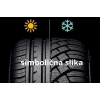 Pirelli Cinturato P1 ( 195/65 R15 91V )