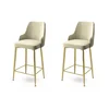 Hanah Home Set barskih stolica Enox, 2 komada, Krem-zlatni