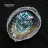 Future Palace - Resurgence (Digipak) (CD)