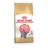 Royal Canin British Shorthair Kitten 2kg