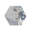 Anais Hexagonal 22x25