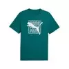 PUMA Majica kratak rukav graphic wording tee M