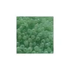 Kašaste perle (seed bead) 8/0 -3 mm pastelna zelena