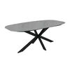 Homestar Jedilna miza 200x100x76 cm siva