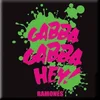 Ramones Gabba, Gabba, Hey Magnet