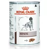 Roial Canin Hepatic Dog Mokra konzervirana hrana za pse, 420g