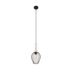 Eglo 49782 - Viseće svetlo NORHAM 1xE27/60W