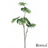 Monstera veja 70 cm - zelena - 50 do 75 cm
