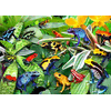 Alipson Puzzle - Puzzle Zabavne žabe - 500 kosov
