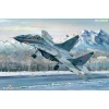 Russian MiG-29 UB Fulcrum