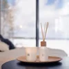 Homestar Dišeče palčke RENTO BIRCH 100 ml