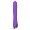 Vibrator Royals, The Dutchess