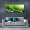 tulup.si Slika na platnu Grass nature dew drops 140x70 cm