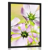 Plakat vrtne rože - 60x90 no frame