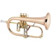Krilovka 1FR Vintage one C.G. Conn