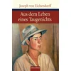 Aus dem Leben eines Taugenichts