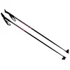 SKOL LH0201/2-160 Tekaške palice 160 cm