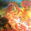 Morbid Angel - Blessed Are The Sick (LP)