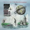 The New Pornographers - The Former Site Of (CD)