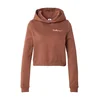 Nike W NSW PHNX FLC SHRUNKEN HOODIE, ženski pulover, smeđa IM7494