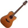Takamine GD20CE Natural Satin Elektroakustična dreadnought