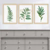 Wallity Uramljena slika 3NTC_501923_5575, 55x75 cm, 3 dela