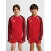 Otroški pulover hmlLEAD 2.0 CREW SWEAT KIDS