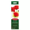 Vodene boje Derwent 1/12