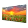 tulup.si Slika na akrilnem steklu Mak narava rastlin pred soncem 125x50 cm 2 obešalnika
