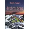 Srebrni breg - Avanture Džeka Brenina