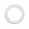 FLUO CIJEV PAULMANN LC G10q 40W/29-827 T9 3000K