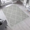 Conceptum Hypnose Tepih 160x230cm Sivi