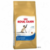 ROYAL CANIN Siamese Adult - 10 kg
