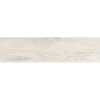 North Wind Ivory Rettificato 22x90