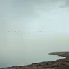 Heated Land - In A Wider Tone (LP)